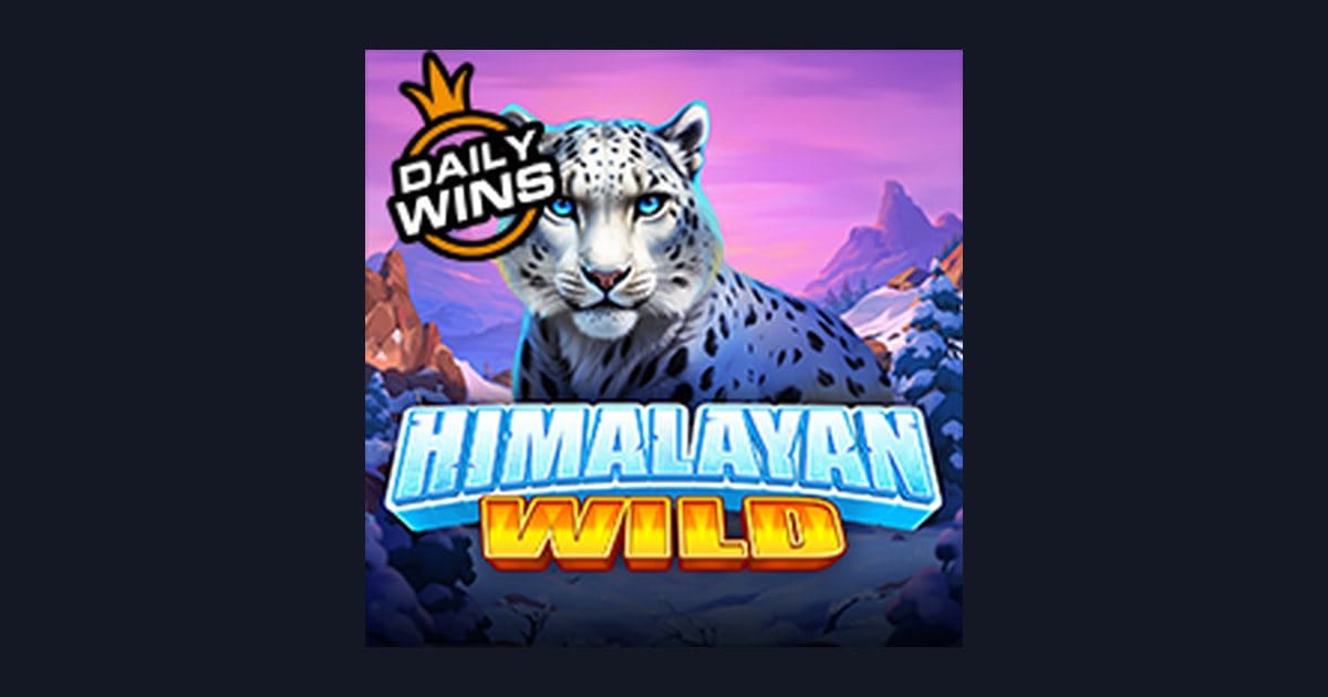 Himalayan Wild: Sensasi Freespin & Scatter Hoki di Dunia Salju