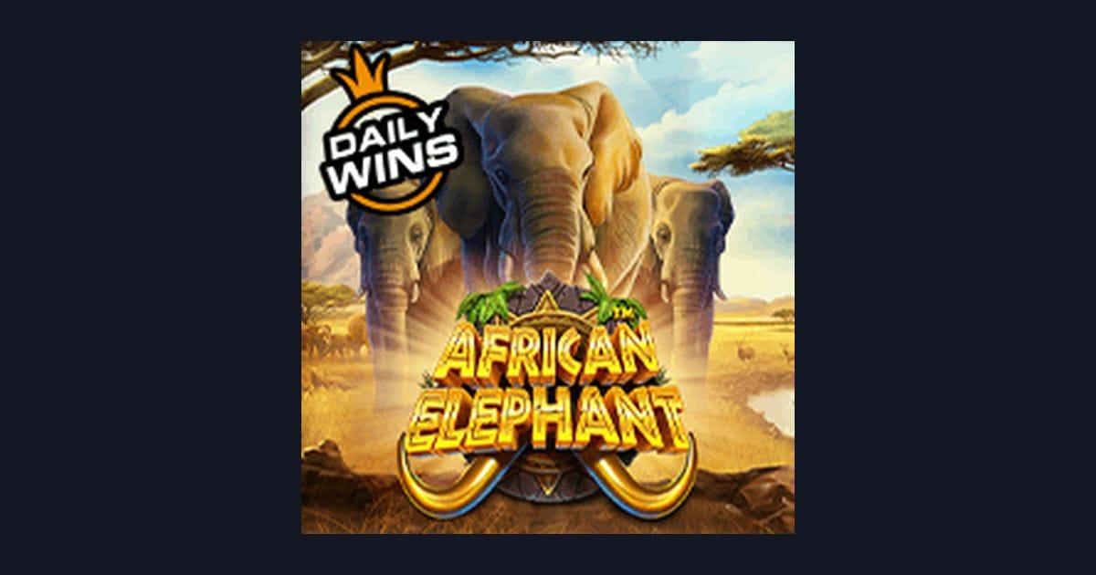 Trik Auto Maxwin Bermain African Elephant dari Pragmatic Play